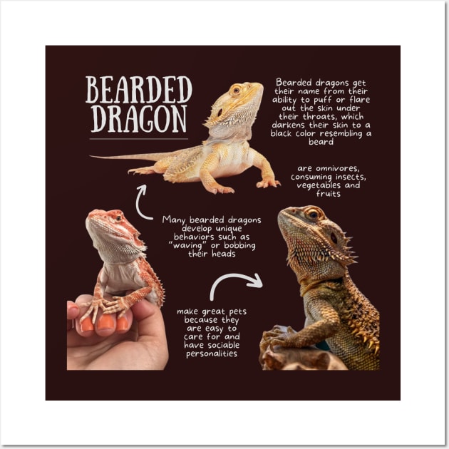 Animal Facts - Bearded Dragon Wall Art by Animal Facts and Trivias